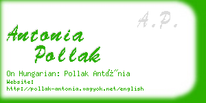 antonia pollak business card
